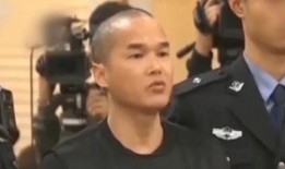 张扣扣最新爆料,揭秘案件背后惊人真相